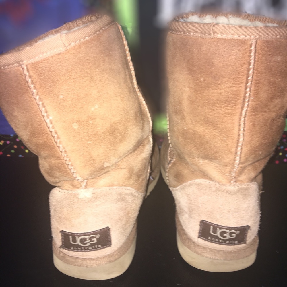 Short Chestnut Uggs - image 2